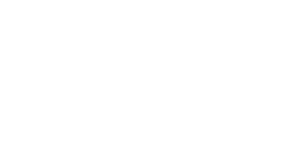 La Lupa Webdesign